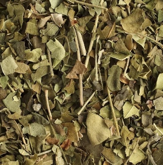 Moringa Tea