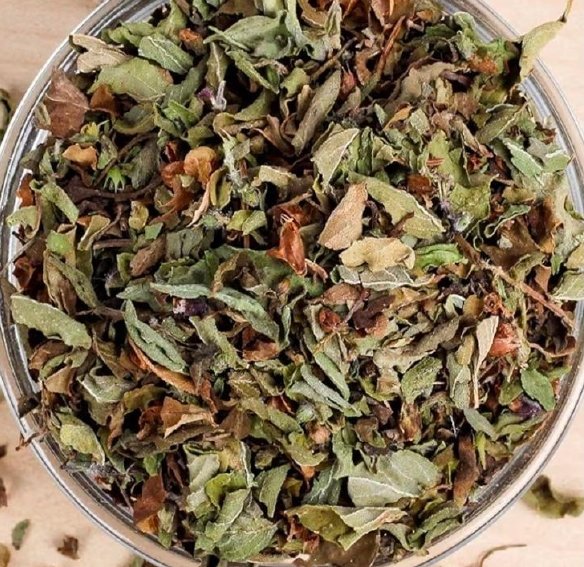 Tulsi Tea Holy Basil